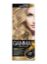 Изображение GAMMA PERFECT COLOR Краска для волос тон 8,0 нежный свет-русый