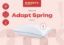Изображение Подушка Adapt Spring