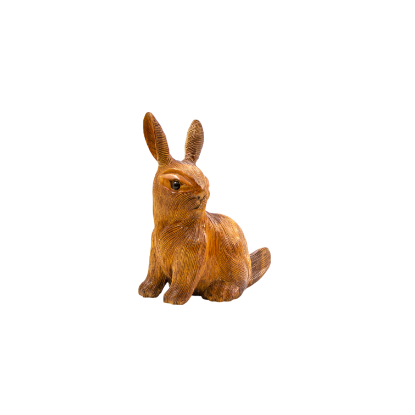 Изображение Заяц RABBIT