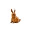 Изображение Заяц RABBIT