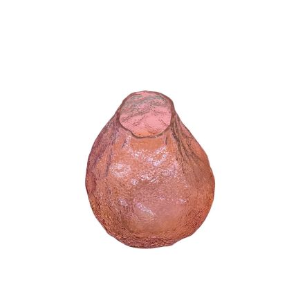 Изображение GLASS VASE JZ2530